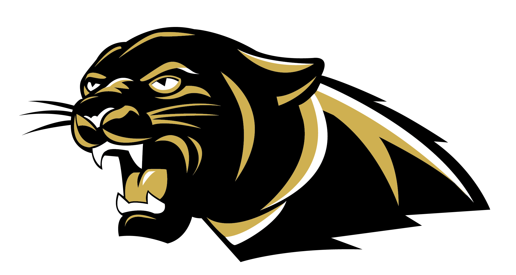 The Colony HS