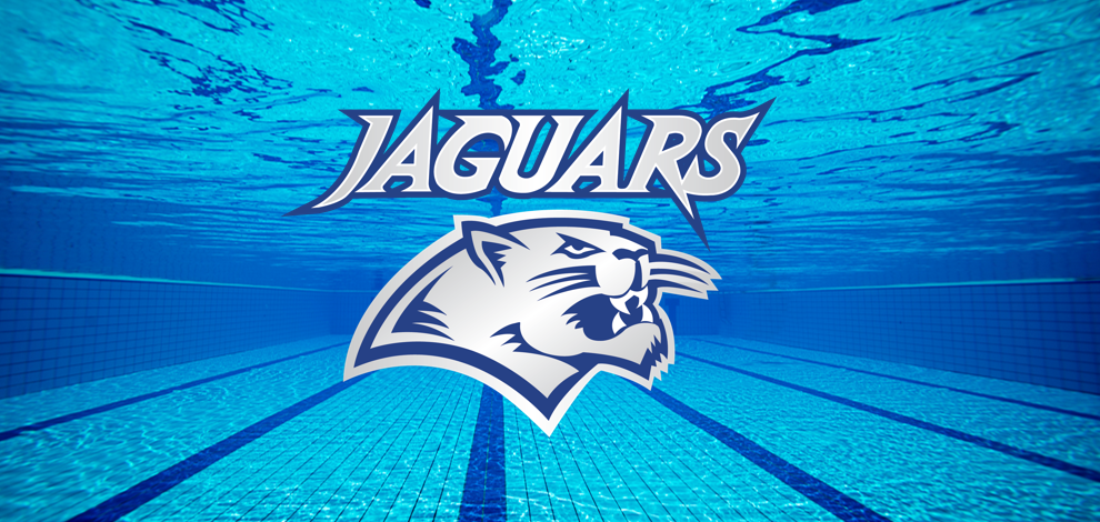 FMHS Swimming & Diving