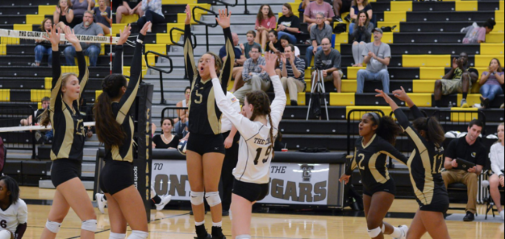 Girls Volleyball 
