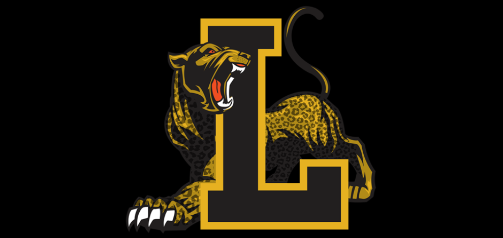 Lakeview Volleyball